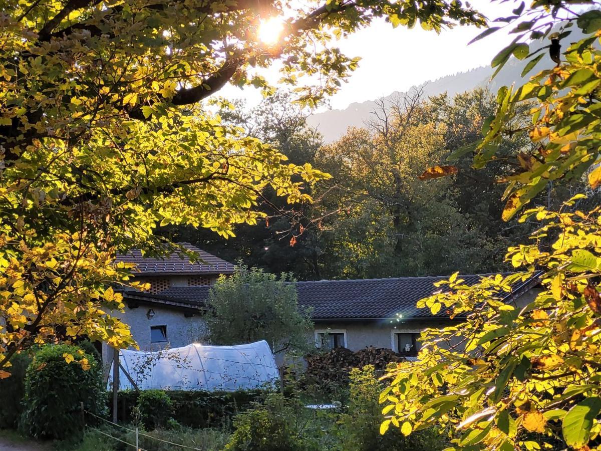 Casa Huerlimann Διαμέρισμα Breno Εξωτερικό φωτογραφία